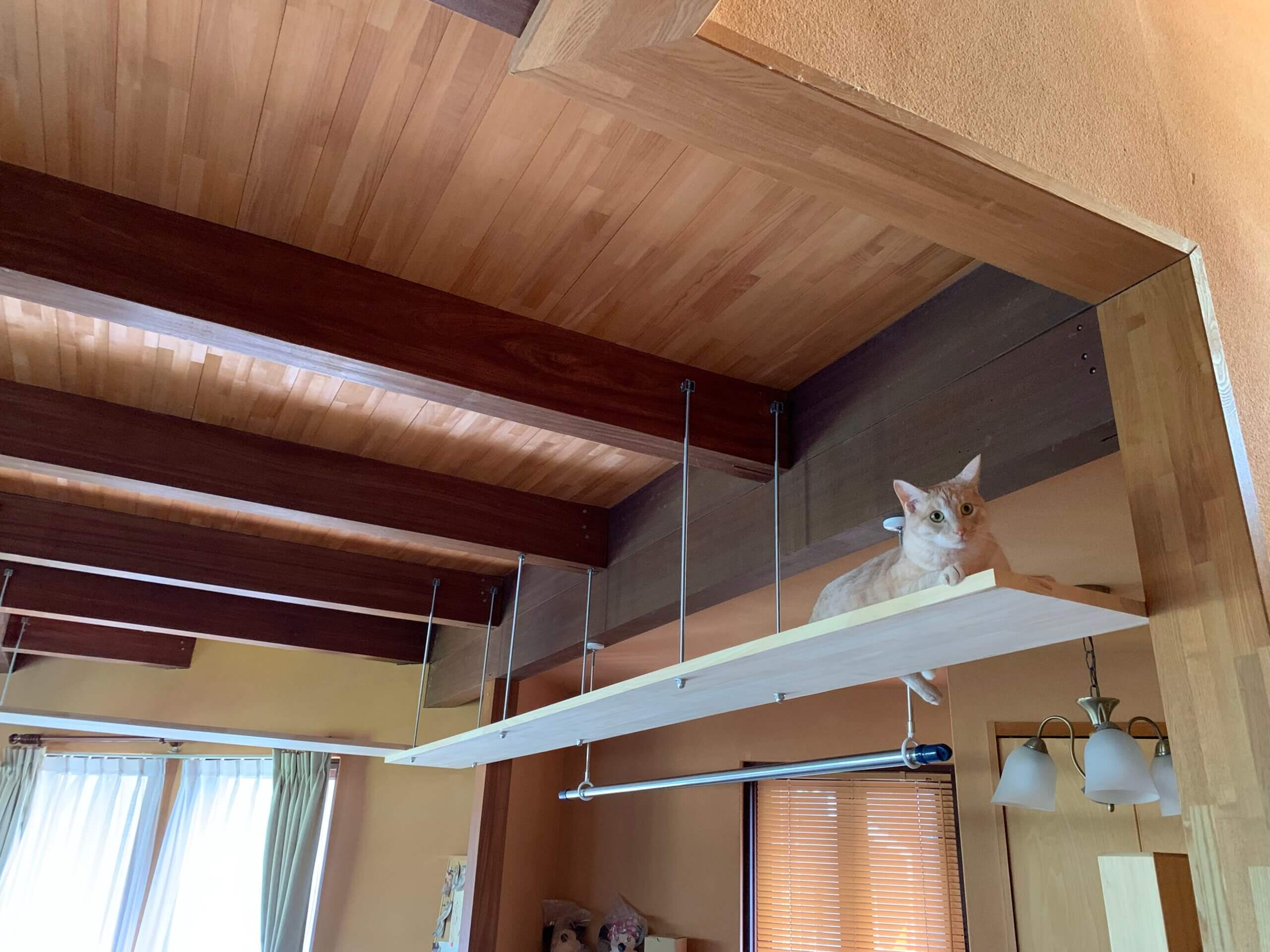 【府中市】N様邸 キャットウォーク工事